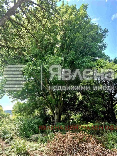 ������� ������ | Imot.bg � ����������� 3