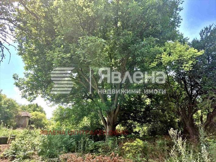 Продава ПАРЦЕЛ, с. Стефаново, област Перник, снимка 2 - Парцели - 56423219