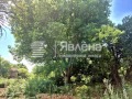 Продава  Парцел област Перник , с. Стефаново , 1046 кв.м | 29873274 - изображение [2]