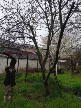 ������� ���� | Imot.bg � ����� ������ 2