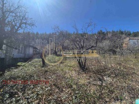 ����� ������� ������,���� �����, �.�.�������