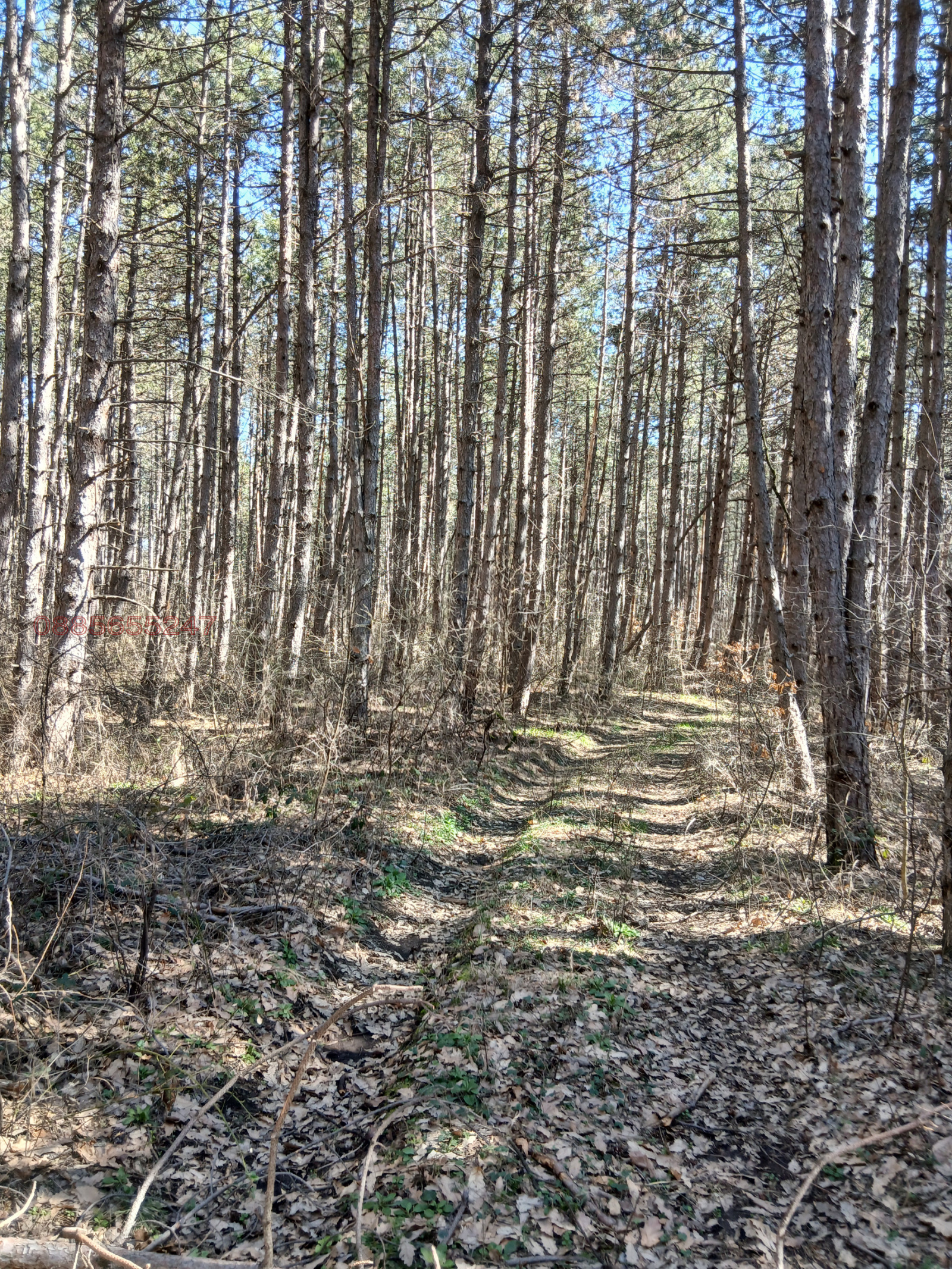 Продава ЗЕМЕДЕЛСКА ЗЕМЯ, с. Въртоп, област Видин, снимка 3 - Земеделска земя - 54089357