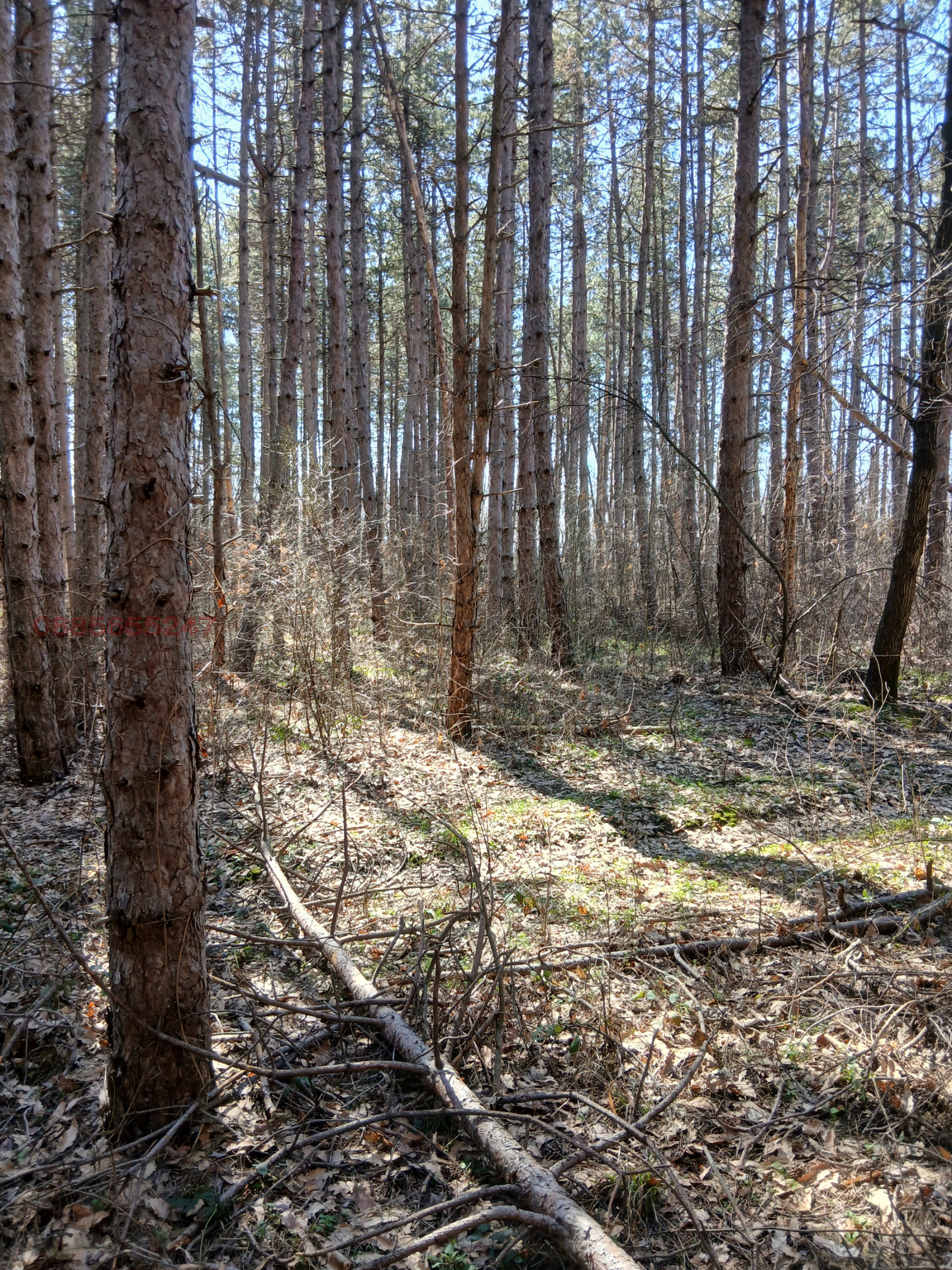 Продава ЗЕМЕДЕЛСКА ЗЕМЯ, с. Въртоп, област Видин, снимка 4 - Земеделска земя - 54089357