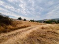 Продава ПАРЦЕЛ, с. Негушево, област София област, снимка 12