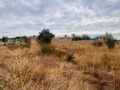 Продава ПАРЦЕЛ, с. Негушево, област София област, снимка 15