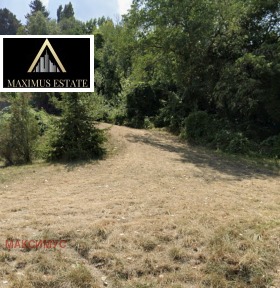 ����� ������� ������,���� �����, ����������