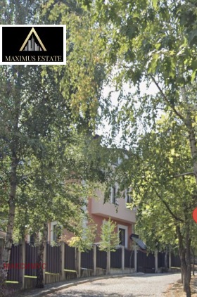 ����� ������� ������,���� �����, ����������