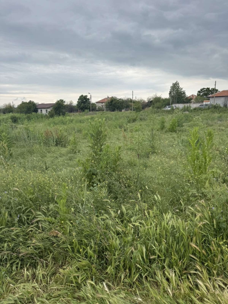 In vendita  Complotto Regione Haskovo , Oriahovo , 11116 mq | 25655972 - Immagine [2]