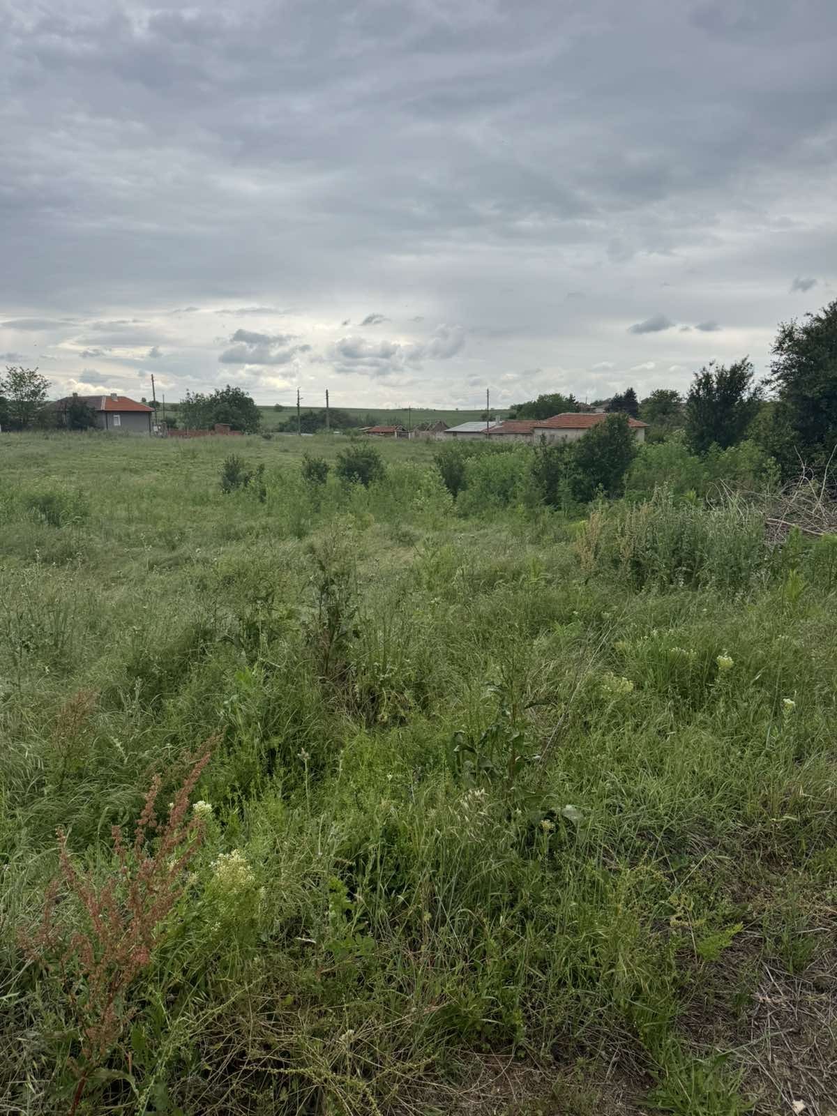 Продава ПАРЦЕЛ, с. Оряхово, област Хасково, снимка 3 - Парцели - 55181451