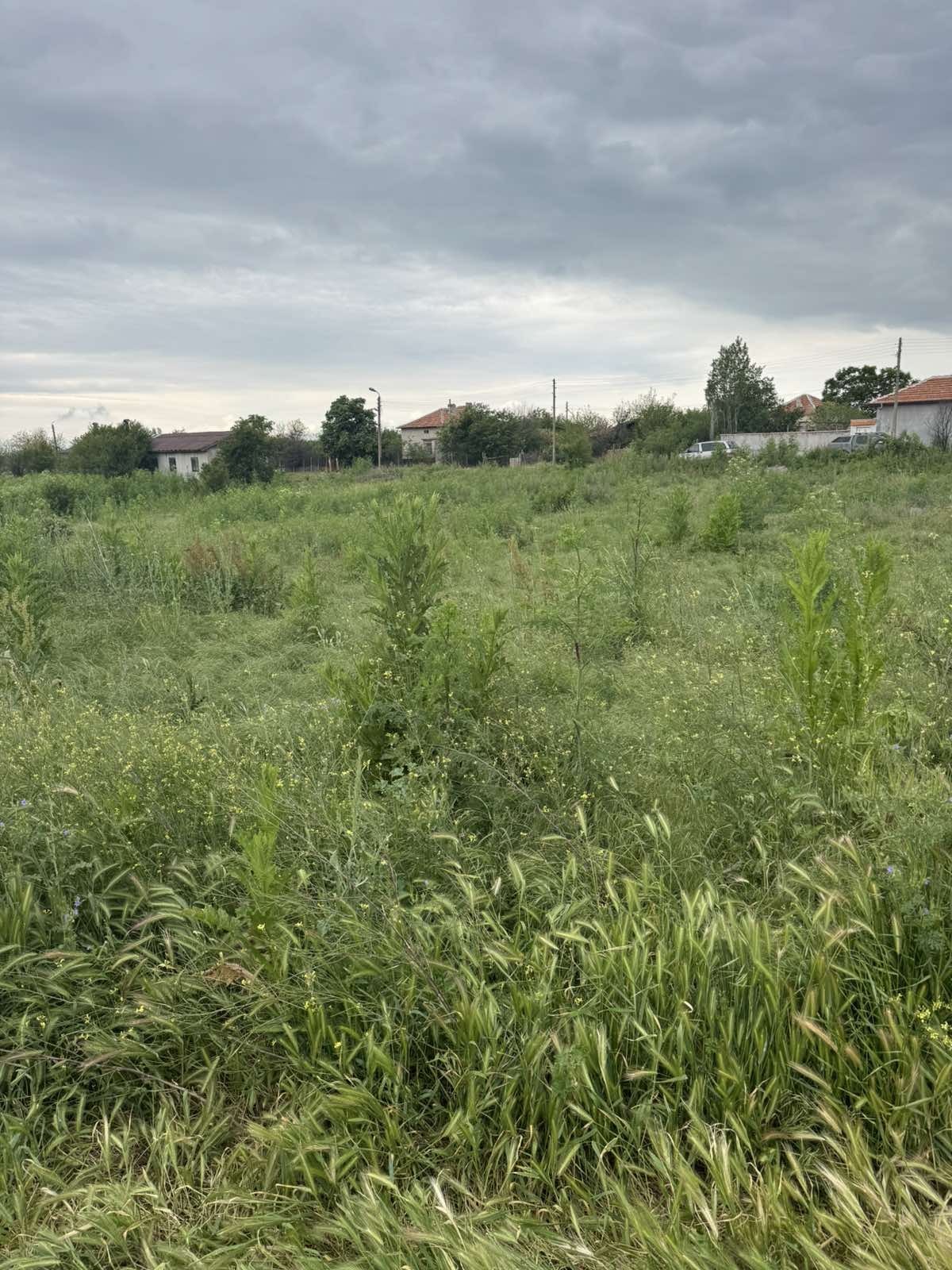 Продава ПАРЦЕЛ, с. Оряхово, област Хасково, снимка 2 - Парцели - 55181451