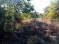 Продава ПАРЦЕЛ, с. Смилец, област Пазарджик, снимка 1