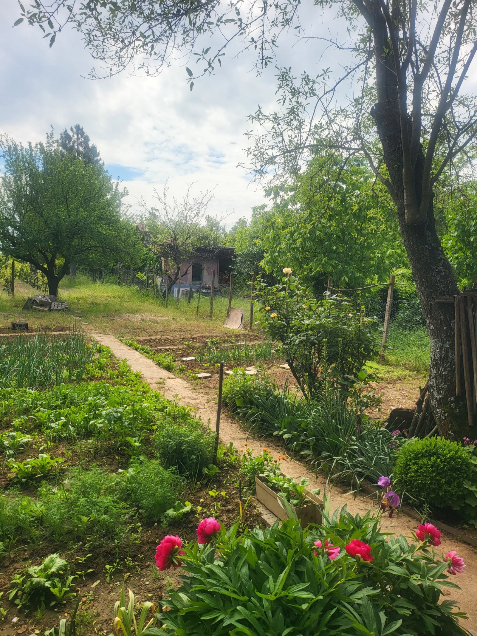 ������� ���� | Imot.bg � ����������� 17