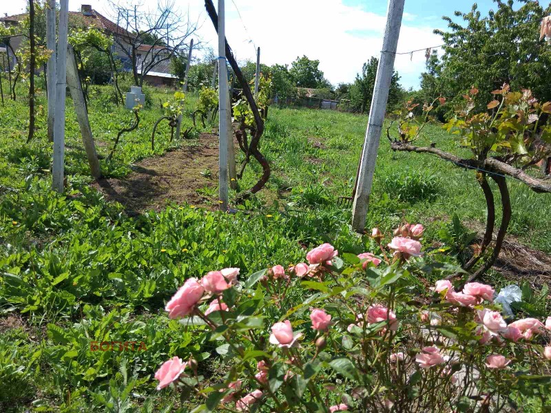 For Sale  House region Stara Zagora  , Kaloyanovets , 200 sq.m | 85223650 - image [3]
