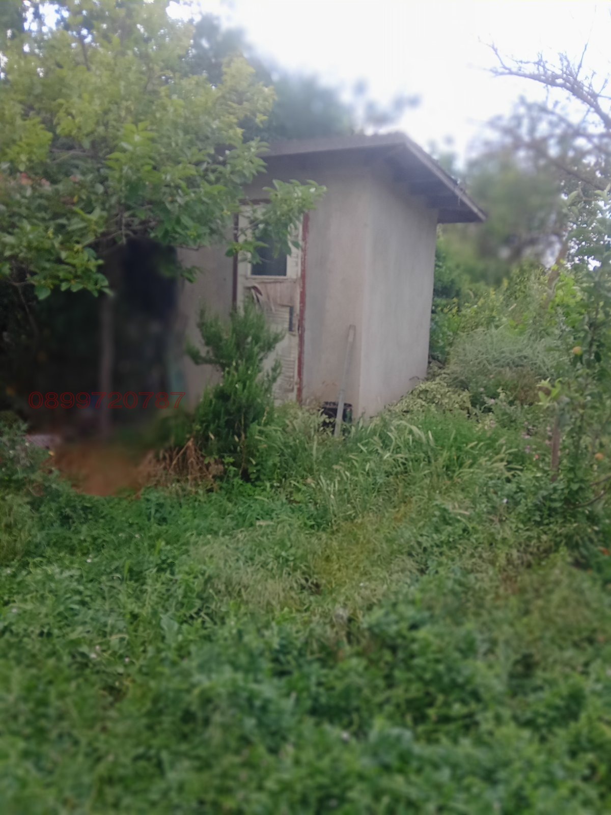 Продава КЪЩА, с. Белоградец, област Варна, снимка 6 - Къщи - 55093563