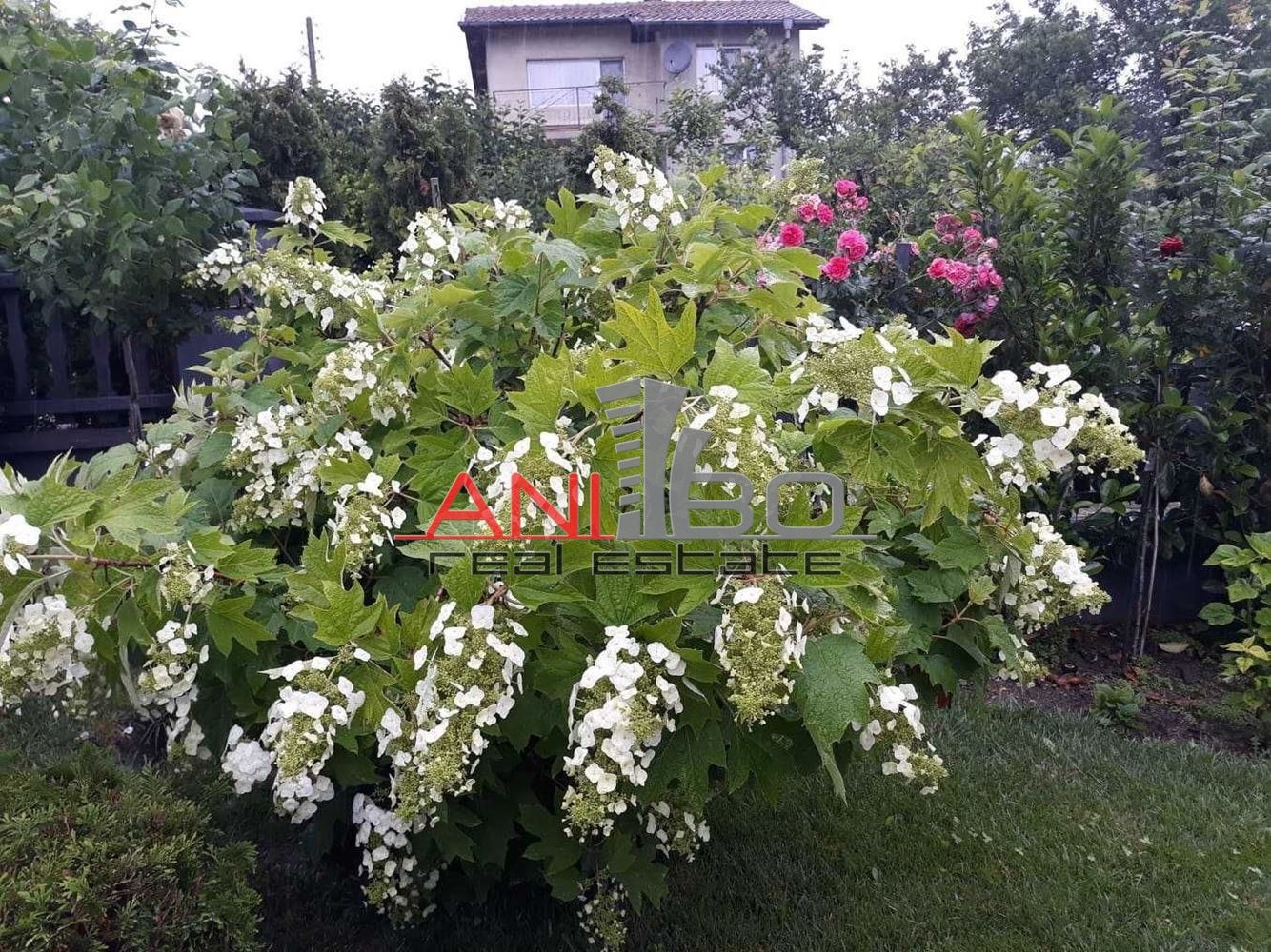 ������� ���� | Imot.bg � ����������� 14