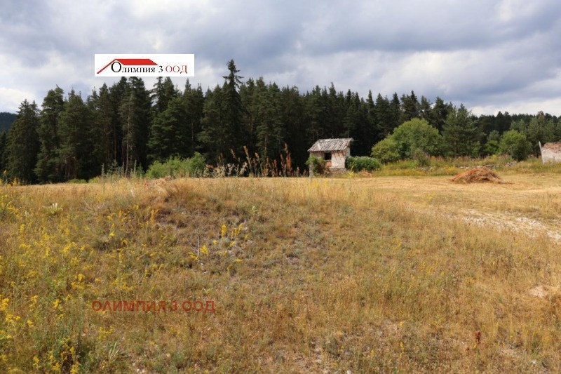 На продаж  Сюжет область Пазарджик , Юндола , 4892 кв.м | 79169925 - зображення [8]
