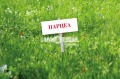 Продава ПАРЦЕЛ, с. Браниполе, област Пловдив, снимка 1 - Парцели - 40534632