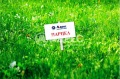 Продава  Парцел област Варна , с. Близнаци , 980 кв.м | 32404427