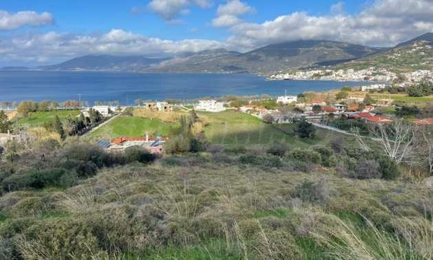 Продава ПАРЦЕЛ | Imot.bg — изображение 2