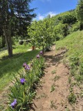 Продава ВИЛА, област София, с. Радуловци • 65000 € • 28082118 — Holmes.bg