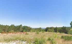 ������ ������� ������