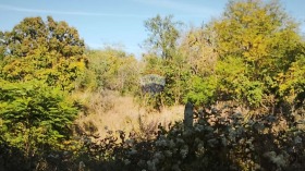 ������� ������ | Imot.bg � ����� ������ 2