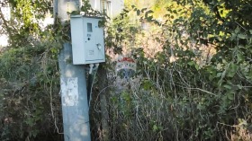 ������� ������ | Imot.bg � ����� ������ 8