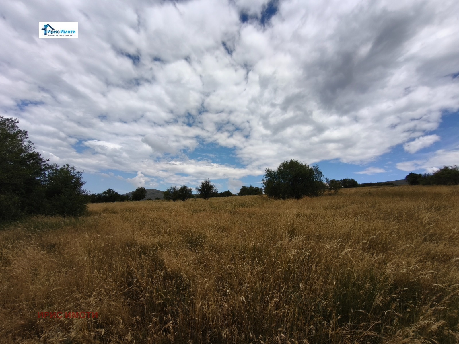 ������� ������ | Imot.bg � ����������� 4