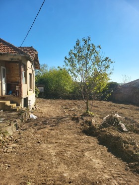 Hus Grivitsa, region Pleven 3