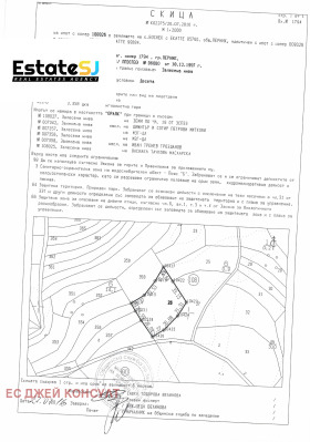 ������ ������� ���������� ����