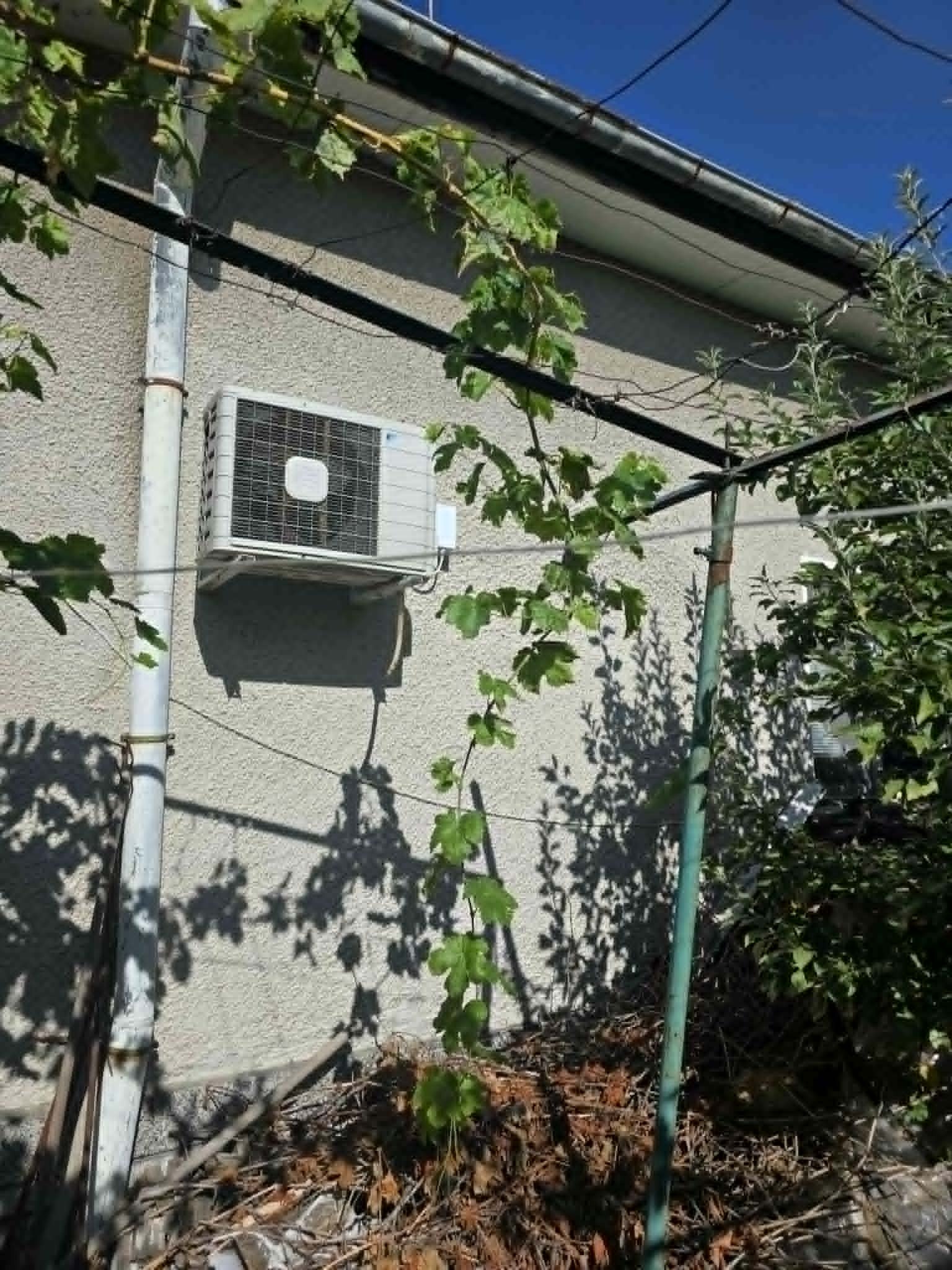 Продава КЪЩА, с. Могила, област Стара Загора, снимка 4 - Къщи - 55884365