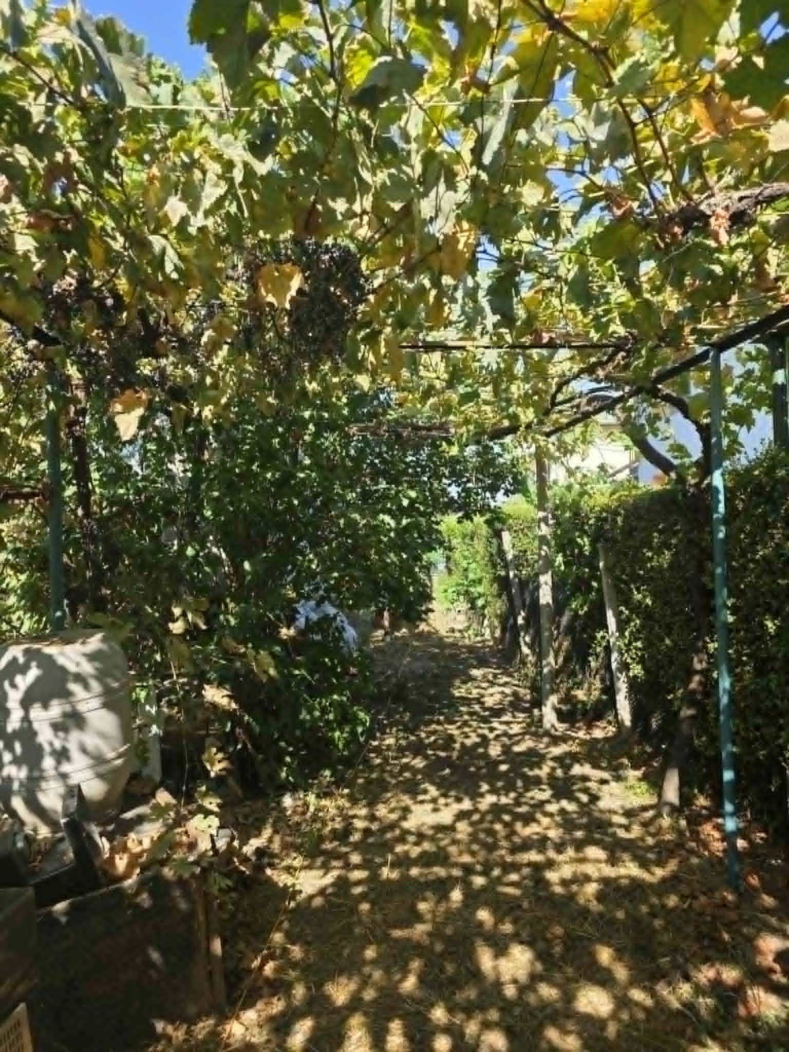 Продава КЪЩА, с. Могила, област Стара Загора, снимка 13 - Къщи - 55884365