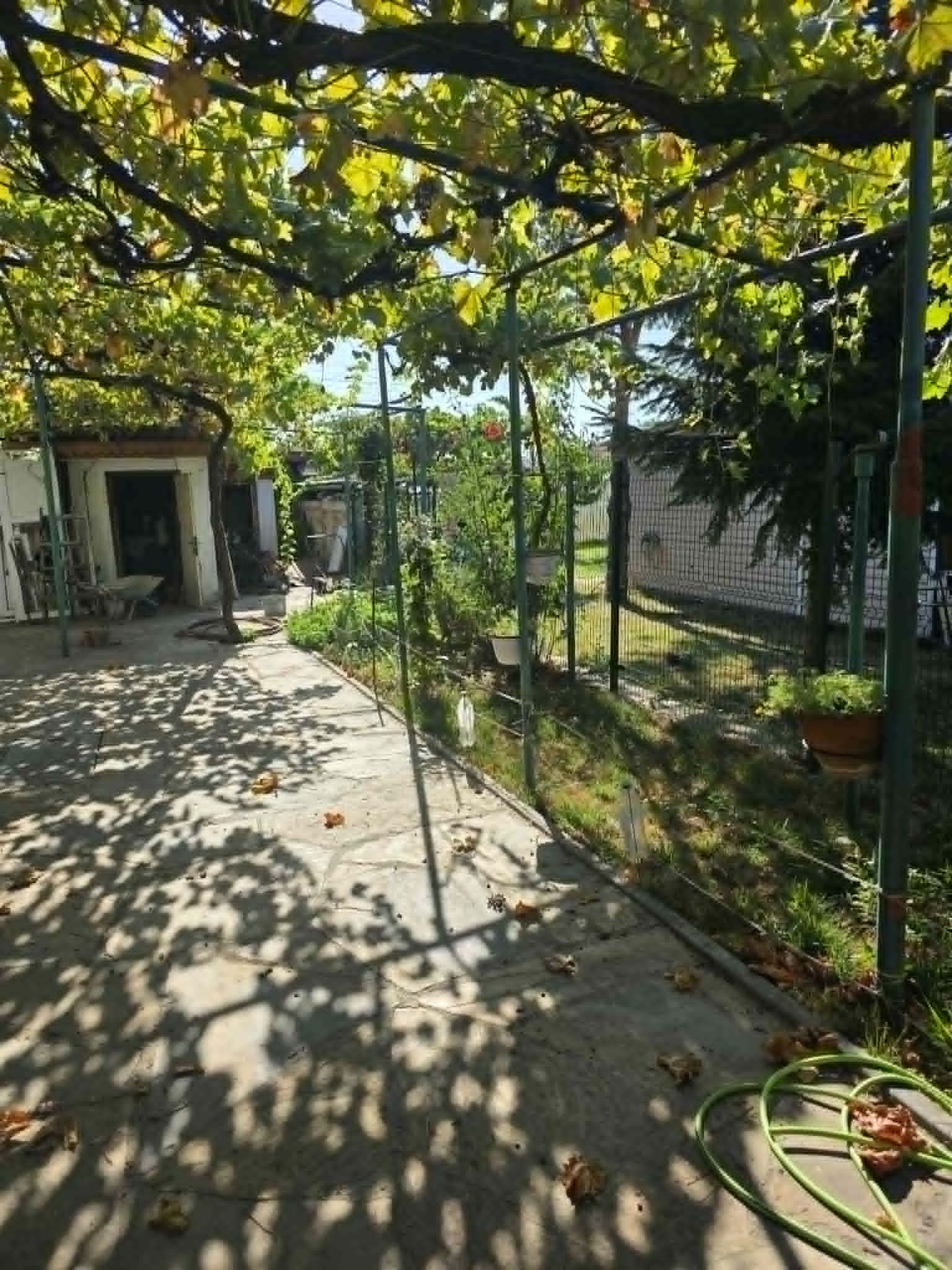 Продава КЪЩА, с. Могила, област Стара Загора, снимка 11 - Къщи - 55884365