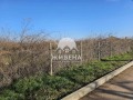 Продава ПАРЦЕЛ, с. Божурец, област Добрич, снимка 2