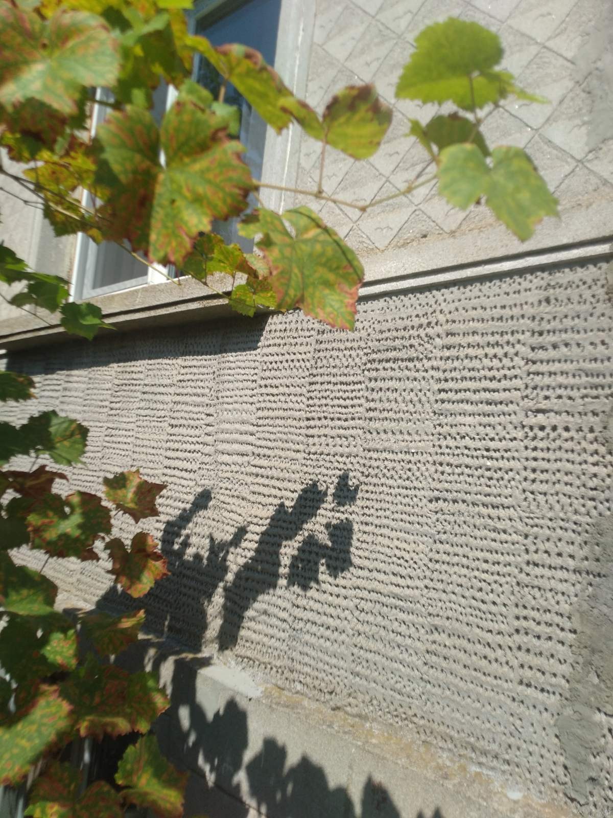 Продава КЪЩА | Imot.bg — изображение 5