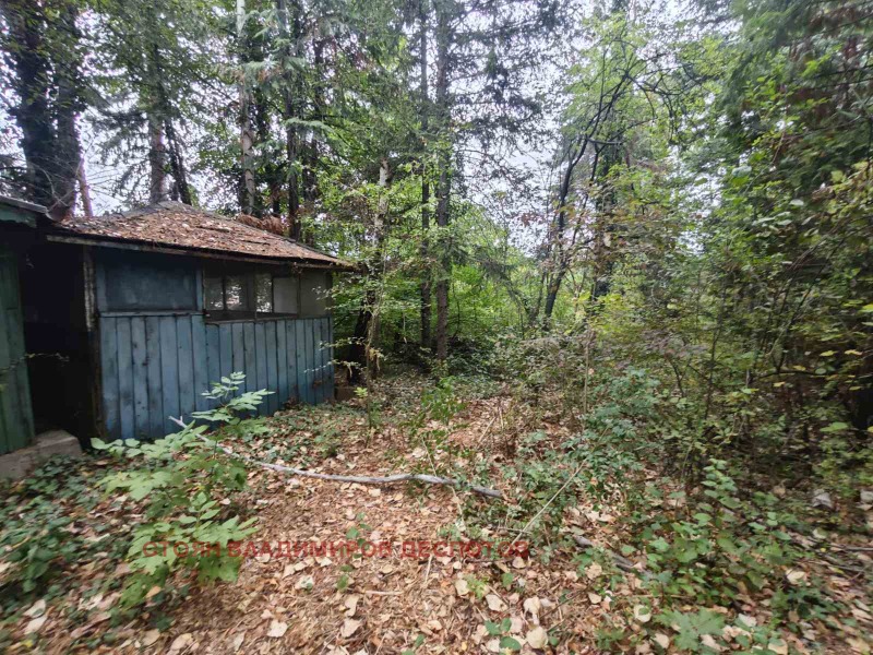 Na prodej  Spiknutí Sofia , Bojana , 500 m2 | 63266757 - obraz [5]