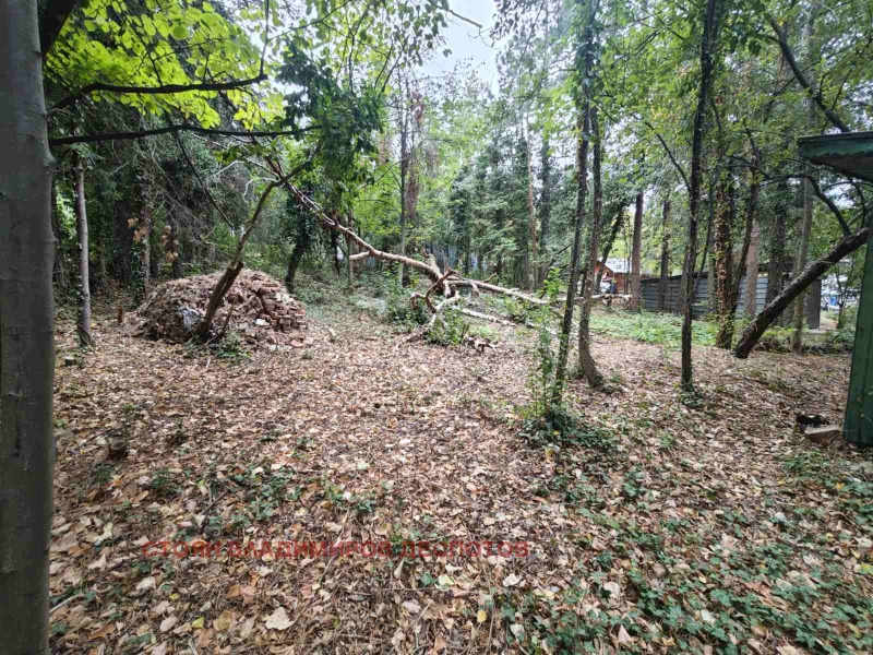 Na prodej  Spiknutí Sofia , Bojana , 500 m2 | 63266757 - obraz [6]