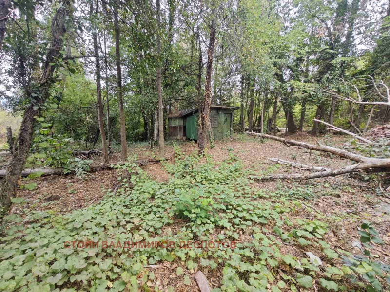 Na prodej  Spiknutí Sofia , Bojana , 500 m2 | 63266757 - obraz [4]