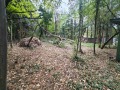 Продава ПАРЦЕЛ, град София, Бояна • 290000 € / 567190.70 лв. • 12722309 6