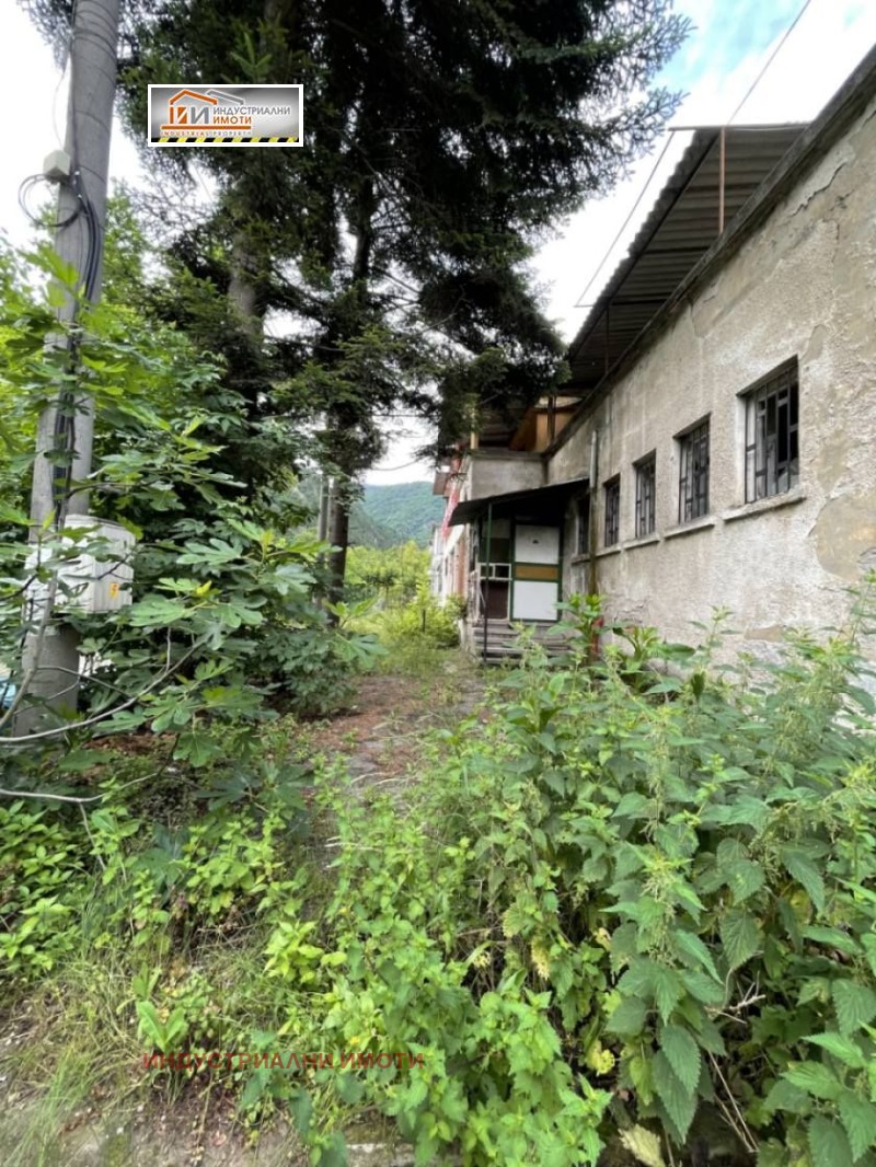 Продается  Сюжет область Пловдив , Бачково , 528 кв.м | 72079386 - изображение [2]