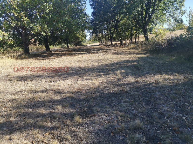 Продава ПАРЦЕЛ, гр. Ябланица, област Ловеч, снимка 6 - Парцели - 52783661