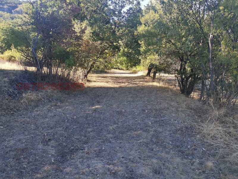 Продава ПАРЦЕЛ, гр. Ябланица, област Ловеч, снимка 2 - Парцели - 52783661