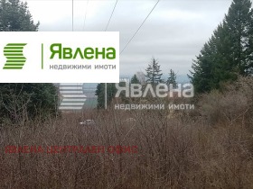 ����� ������� ������,���� �����, �. �����