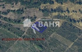Продажба на земеделски земи в област Пловдив - изображение 4 