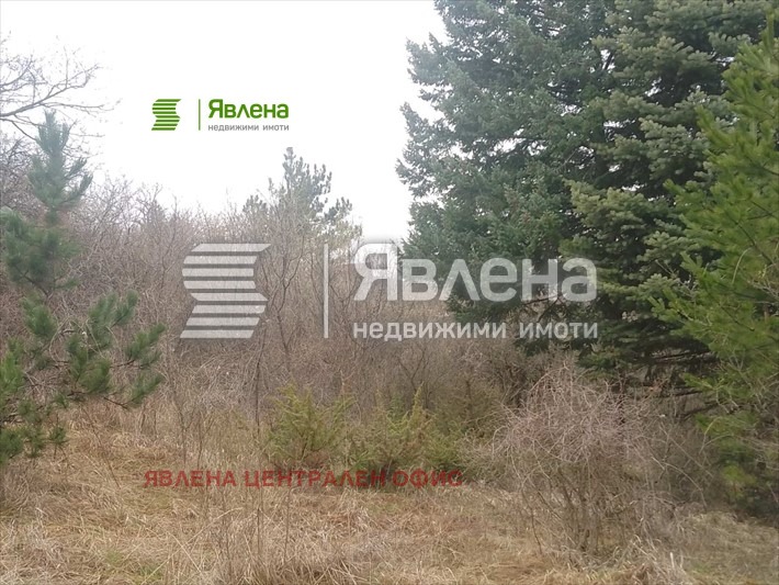 Продава ПАРЦЕЛ, гр. София, с. Лозен, снимка 5 - Парцели - 54348939