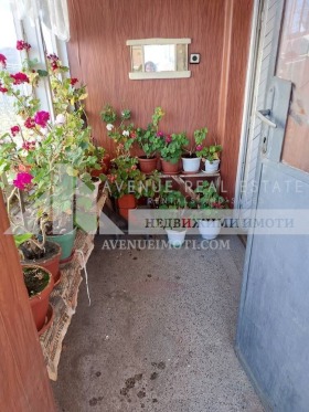 ������� ���� | Imot.bg � ����� ������ 11