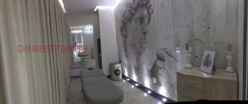 Продава БИЗНЕС ИМОТ, гр. Пловдив, Кючук Париж, снимка 15 - Други - 53032839