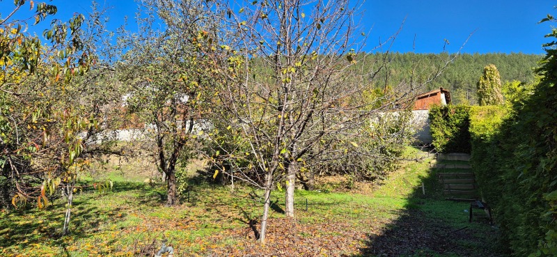 Продава ПАРЦЕЛ, с. Присово, област Велико Търново, снимка 2 - Парцели - 52287558