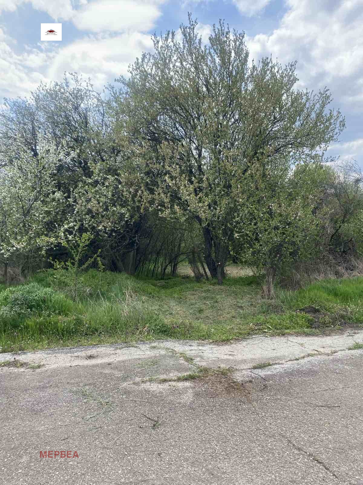 ������� ������ | Imot.bg � ����������� 5
