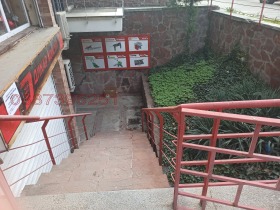 ����� ������� �������,���� ������, ������� ������